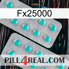 Fx25000 29